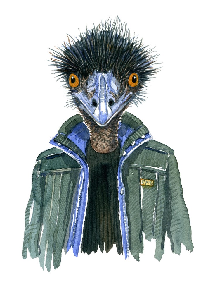 Watercolor art of an Emu bird in a green jacket, art by Frits Ahlefeldt