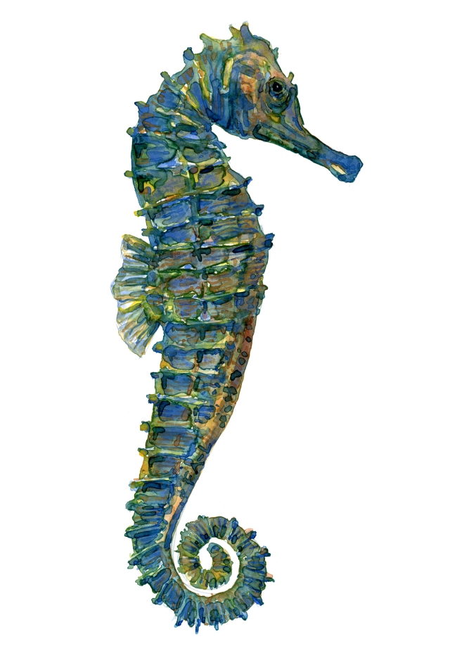 Green blue seahorse watercolor – Ahlefeldt: Art, hiking Frits stories 
