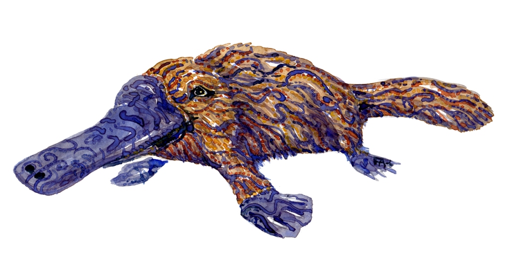 Platypus tribal watercolor by Frits Ahlefeldt