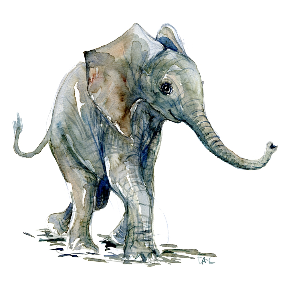 Elephant baby watercolor by Frits Ahlefeldt