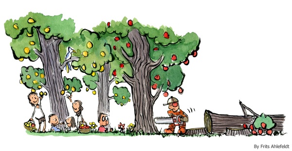 drawing of people picking fruit and a guy cutting down all the trees