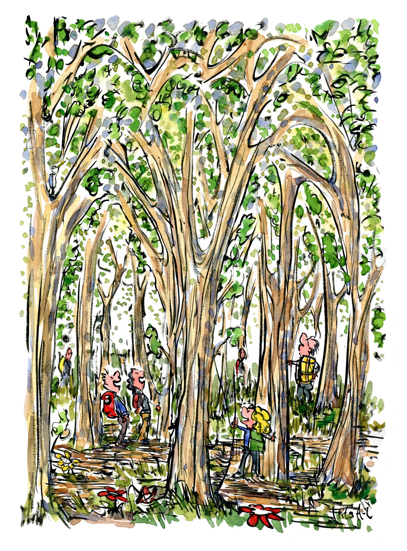Drawing of hikers between huge trees