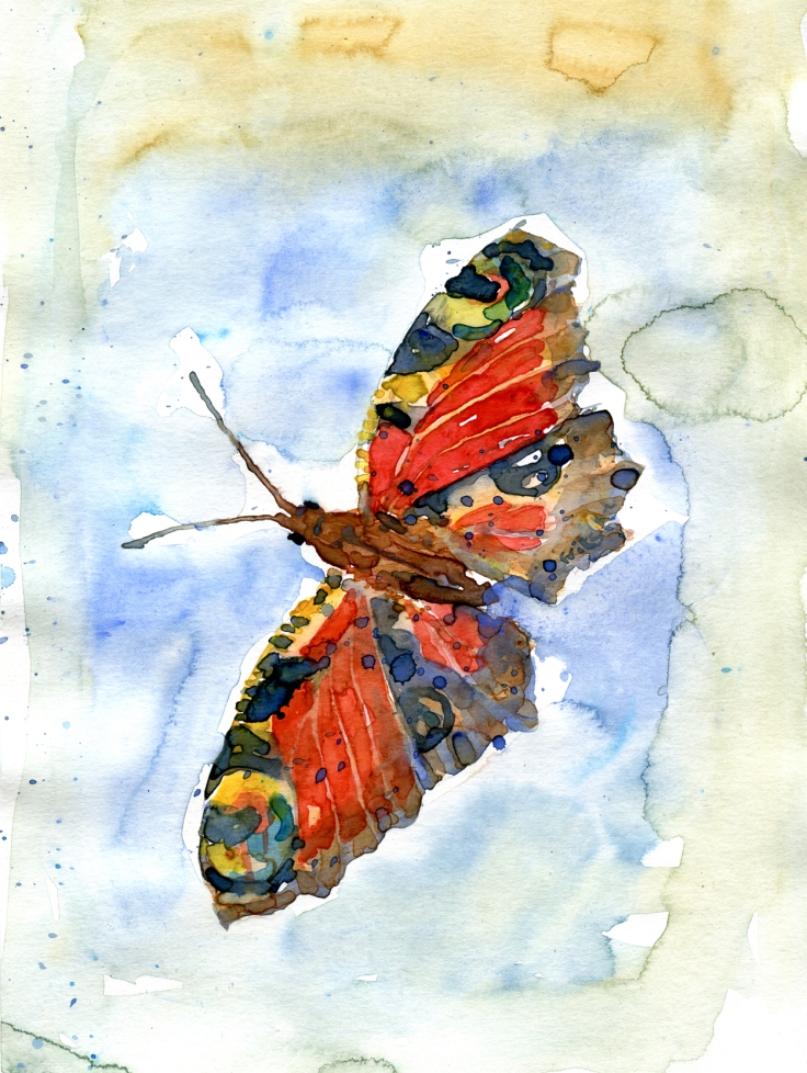 Watercolor of butterfly by Frits Ahlefeldt