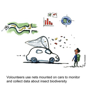Drawing of a car with a net on the roof, driving around and collecting insects. Citizen science drawing by Frits Ahlefeldt