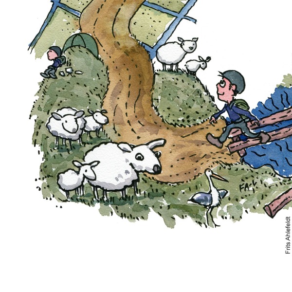Storylinegrid drawing of hiker walking past sheep. Illustration by Frits Ahlefeldt